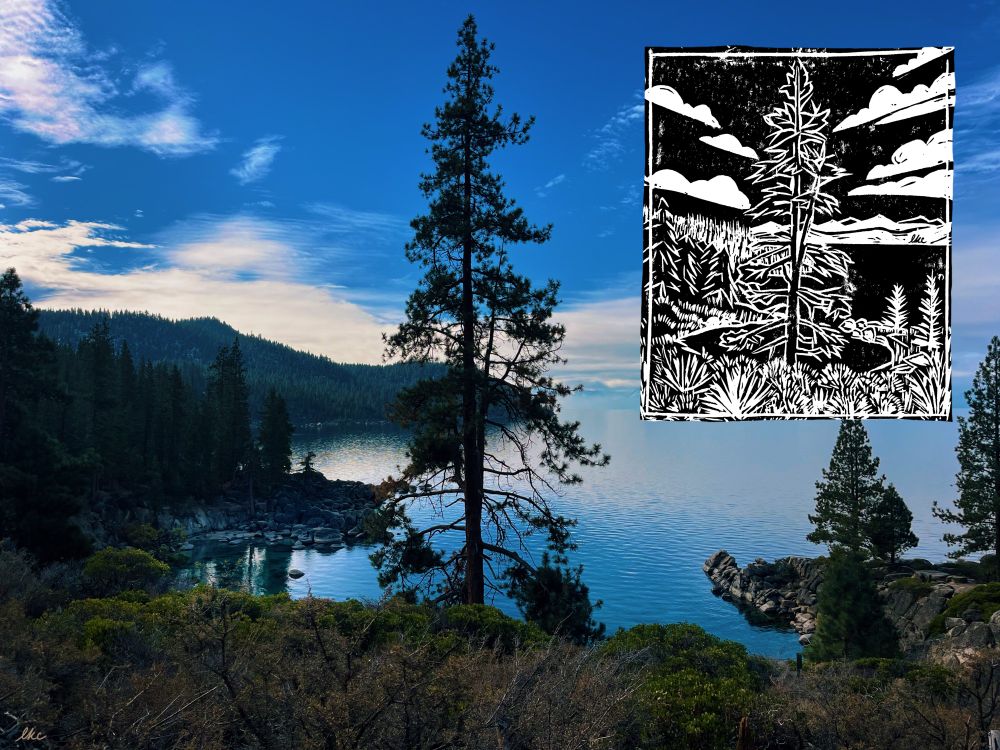 A photograph of Lake Tahoe with a bright blue sky and a large tree in the center. A small inset of a black and white linocut print of the photograph.