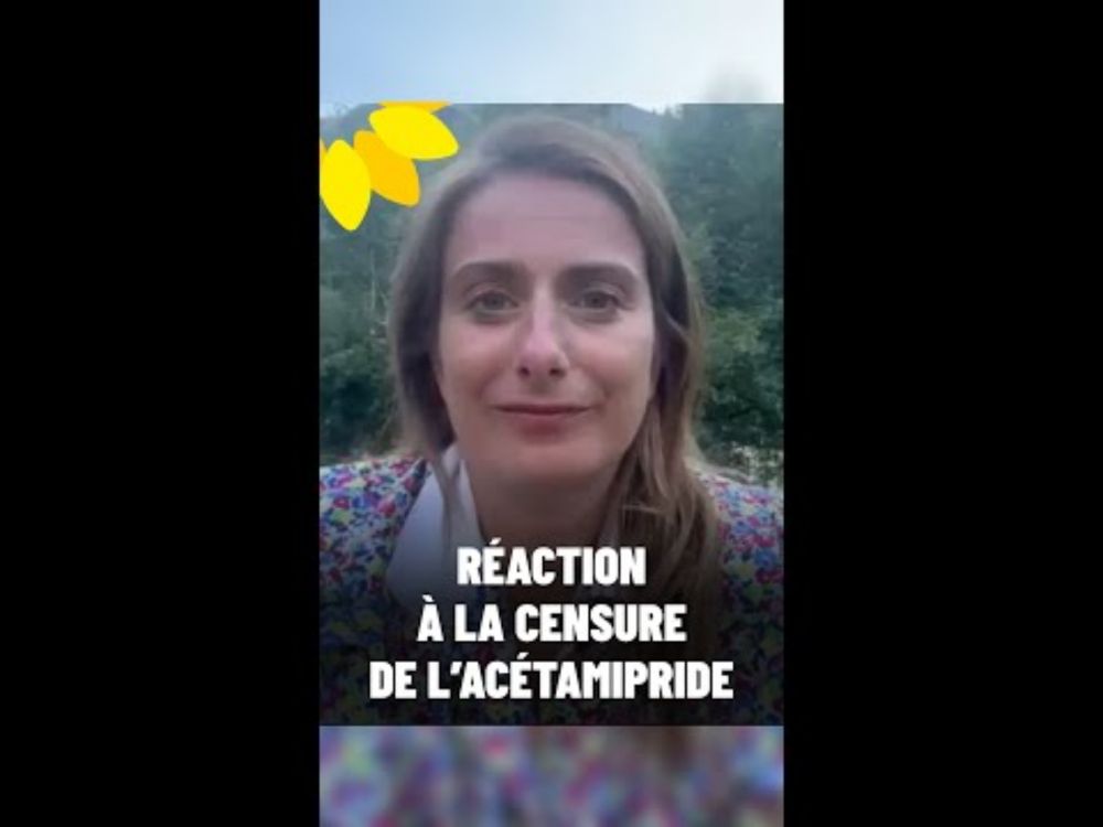 "Je suis émue ce soir" : réaction de Marine Tondelier à la censure de l'acétamipride (loi Duplomb)