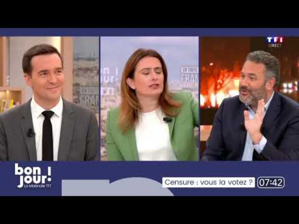 "Je suis en colère ce matin" Marine Tondelier critique le budget de l'écologie de Bayrou sur TF1