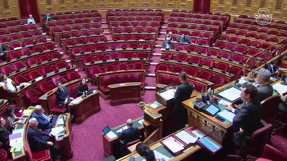 image du Sénat vide pendant l'examen de la proposition de loi de Mathilde Ollivier
