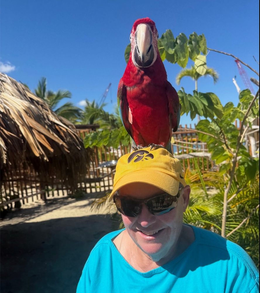 A scarlet macaw sits on top of the head of a a white woman who has a gold Iowa Hawkeye baseball hat. The woman is wearing sunglasses and an aqua blue tshirt.There is greenery and a fence in the background.