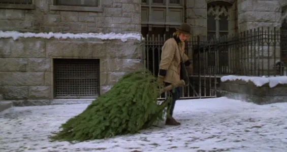 Meg Ryan as Sally in When Harry Met Sally is outside in winter wearing a brown winter coat and a brown hat. She is dragging a Christmas tree down the sidewalk in NYC.