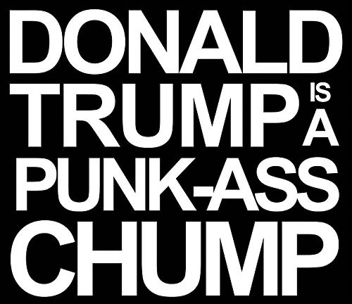 Donald Trump is a punk ass chump.