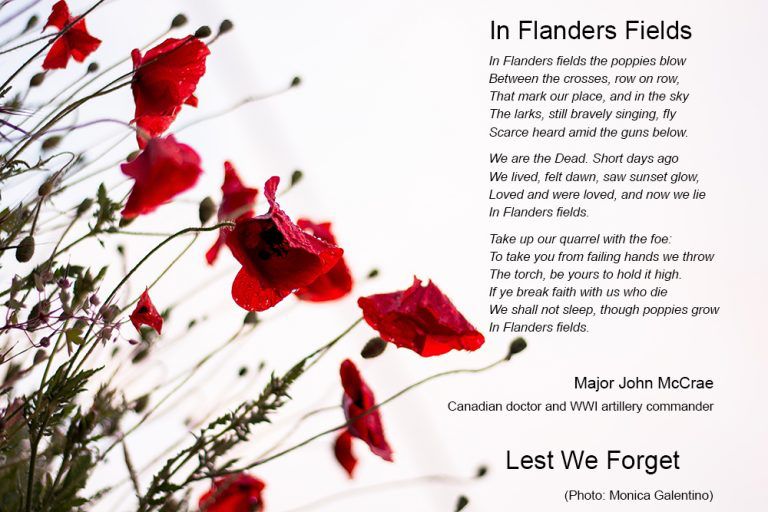 Image of poppies with the poem In Flander's Field written by Canadian Major John McCrae.

In Flanders fields the poppies blow
Between the crosses, row on row,
    That mark our place; and in the sky
    The larks, still bravely singing, fly
Scarce heard amid the guns below.

We are the Dead. Short days ago
We lived, felt dawn, saw sunset glow,
    Loved and were loved, and now we lie,
        In Flanders fields.

Take up our quarrel with the foe:
To you from failing hands we throw
    The torch; be yours to hold it high.
    If ye break faith with us who die
We shall not sleep, though poppies grow
        In Flanders fields.