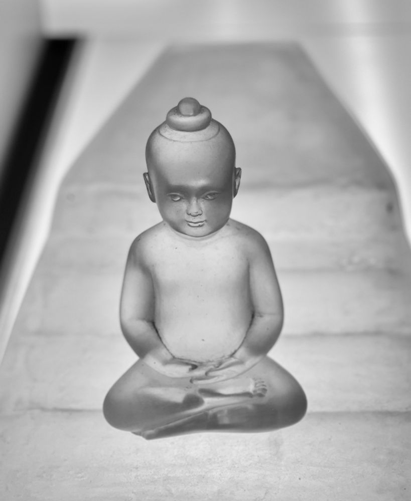 Peaceful #NoKing protests. Buddha statue photo