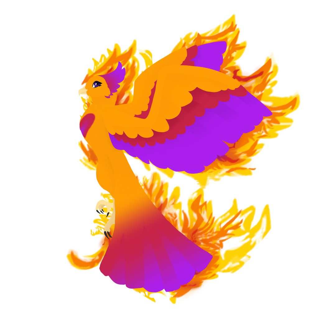 Comment image