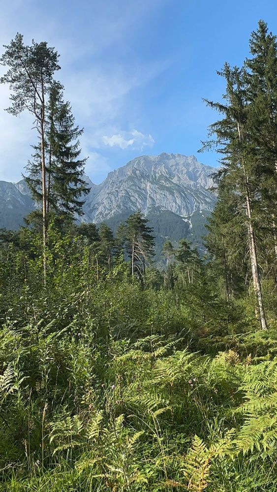 A mountain 
