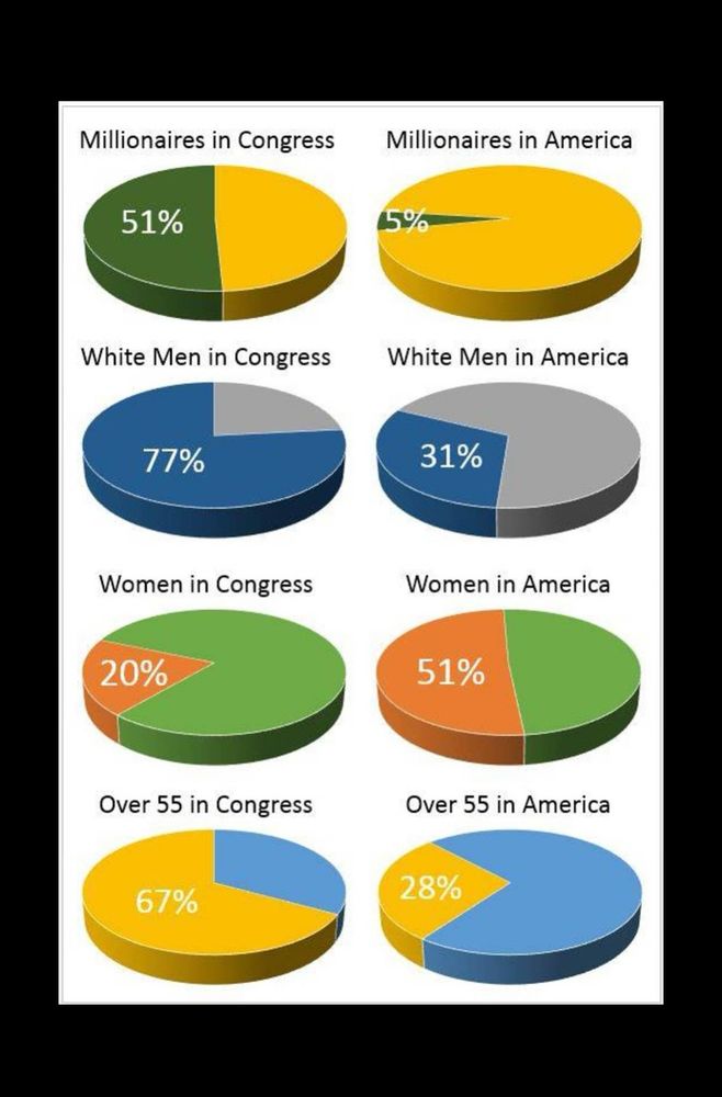 Various pie charts showing percentages. Millionaires in Congress 51%, millionaires in America 5%. White men in Congress 77%, white men in America 31%. Women in Congress 20%, women in America 51%. Over 55 in Congress 67%, over 55 in America 28%.