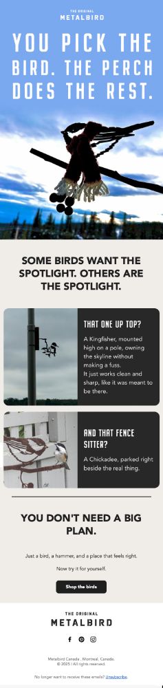 A screen shot of a Metalbird Canada advert. The bottom photo is one that I took, of a black-capped chickadee perched on my Metalbird chickadee ornament, giving it a look like 