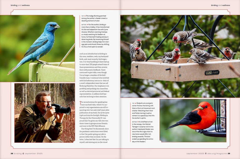 Third page of my article on birding for one's health