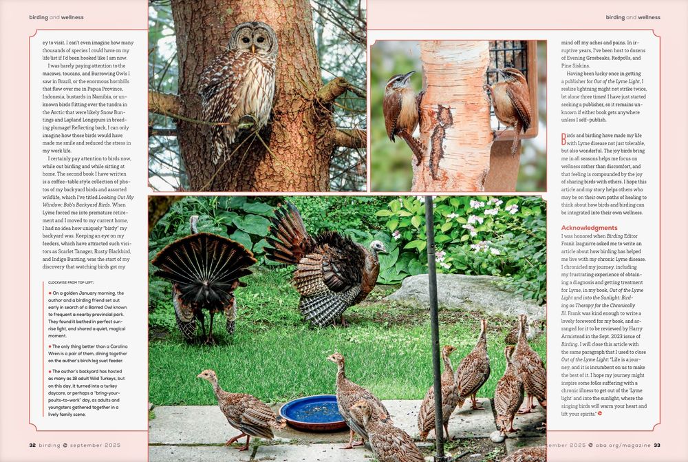 Final page of my article on birding for one's health