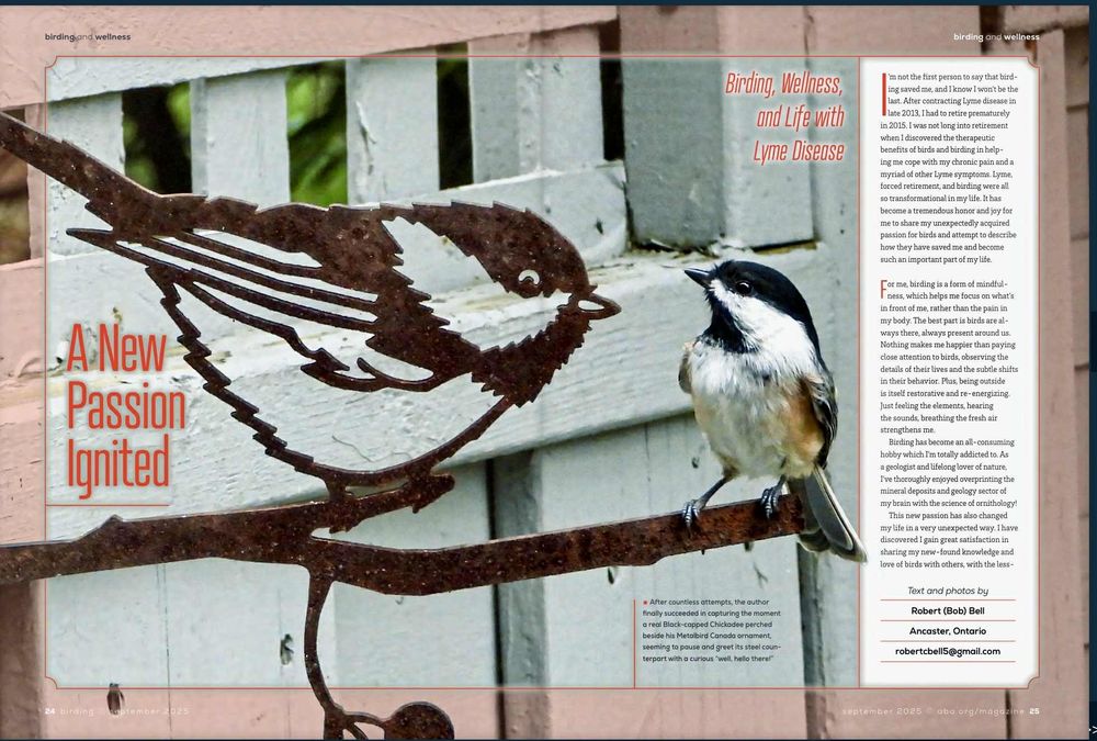First page of my article on birding for one's health