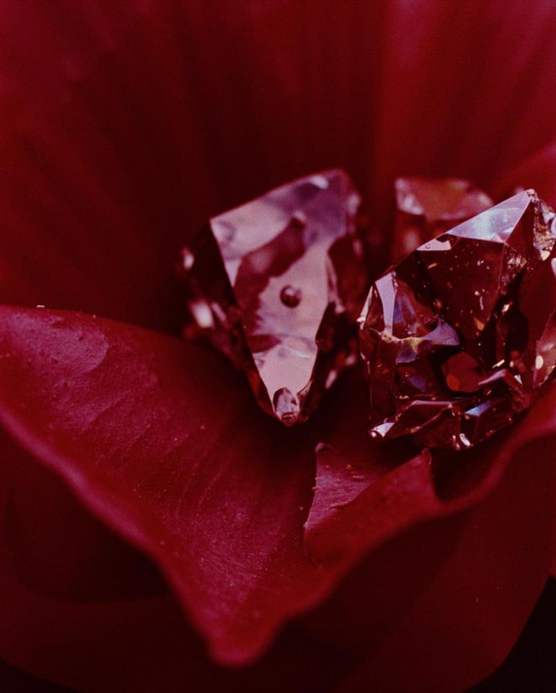 A close-up of reflective chrome crystals resting on deep red petals, bathed in soft natural light. The image evokes a painterly, fine-art aesthetic with subtle bokeh and film grain.