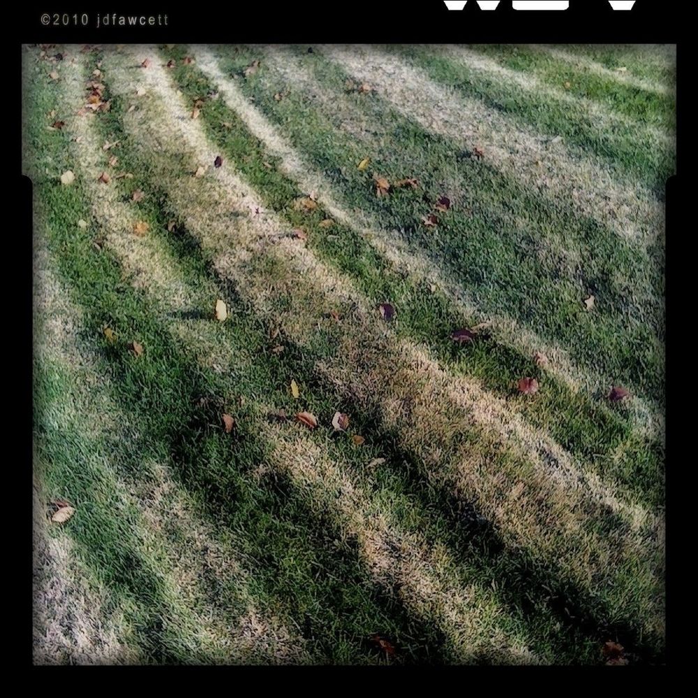 A patch of grass shows deep, curving impressions left by heavy vehicle or machinery tires, likely from repeated passes over the lawn. The tire tracks are starkly visible, having compressed and discolored the grass, turning it yellowish-brown compared to the surrounding green. The curved paths form a rhythmic, alternating, wave-like pattern across the frame, leading diagonally from bottom left to top right. Scattered autumn leaves, in shades of red, orange, and yellow, are strewn lightly across the lawn, their shapes softened by shadows and the early or late daylight. The image has a painterly texture with rich contrast and a slightly surreal or dreamy visual quality, suggestive of post-processing or artistic filtering. The upper border includes black frame edges with rounded corners. 