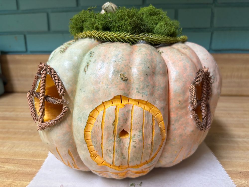 A pink and teal heirloom pumpkin carved to look like a hobbit house with moss and star pine needles covering the windows and roof