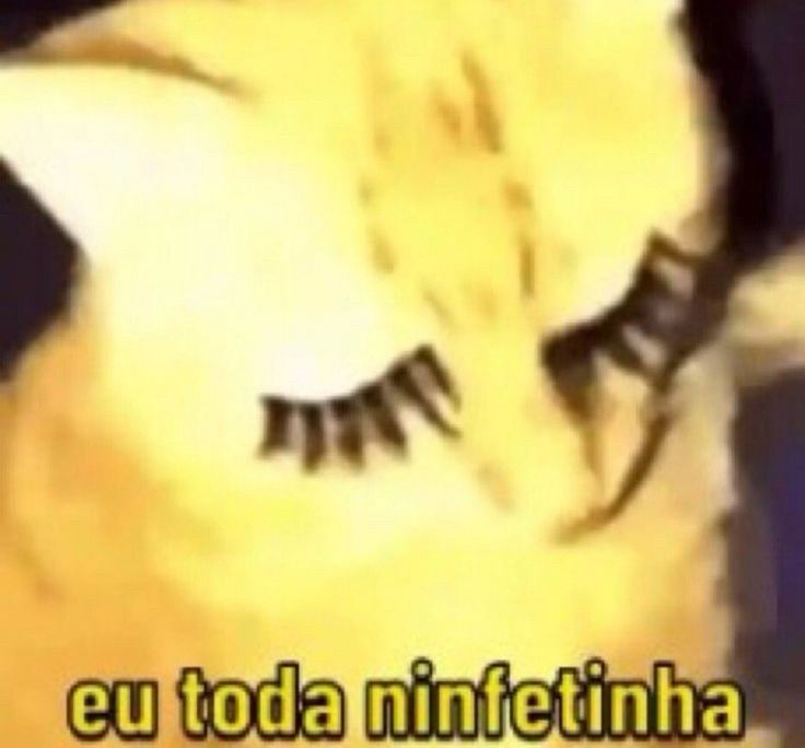 Gato diva com cílios postiço