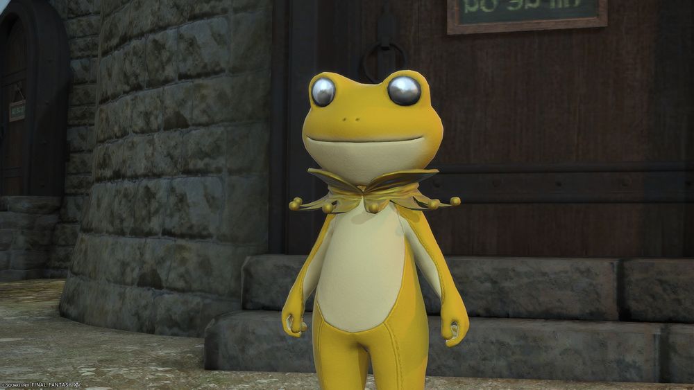 a frog in final fantasy fourteen