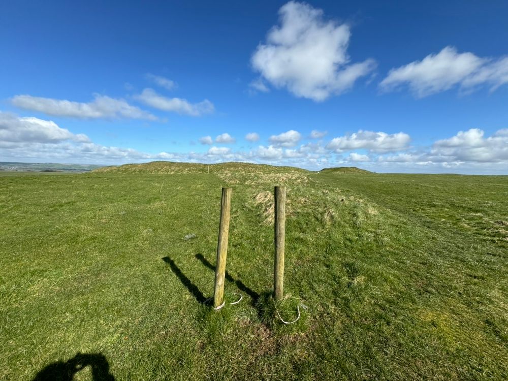 The view northwards along the "avenue" to the henge.