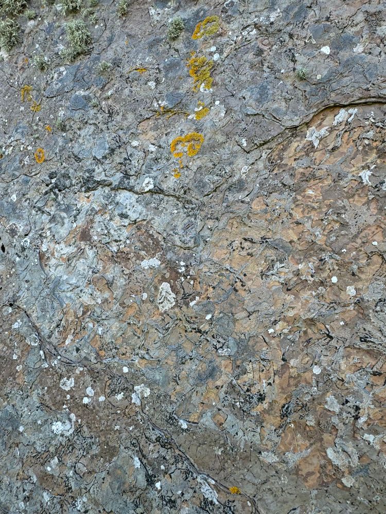 A close-up of the standing stones.