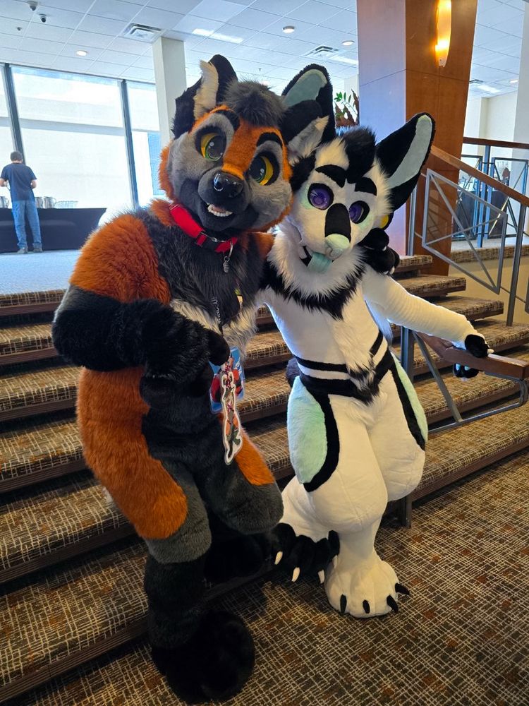 Two fullsuiting furries posing together near a staircase, the descriptions of them from left to right are as follows: a tall, orange, grey, and black cross fox wearing a bright red collar, and a shorter, white, minty green, and black striped hyena 