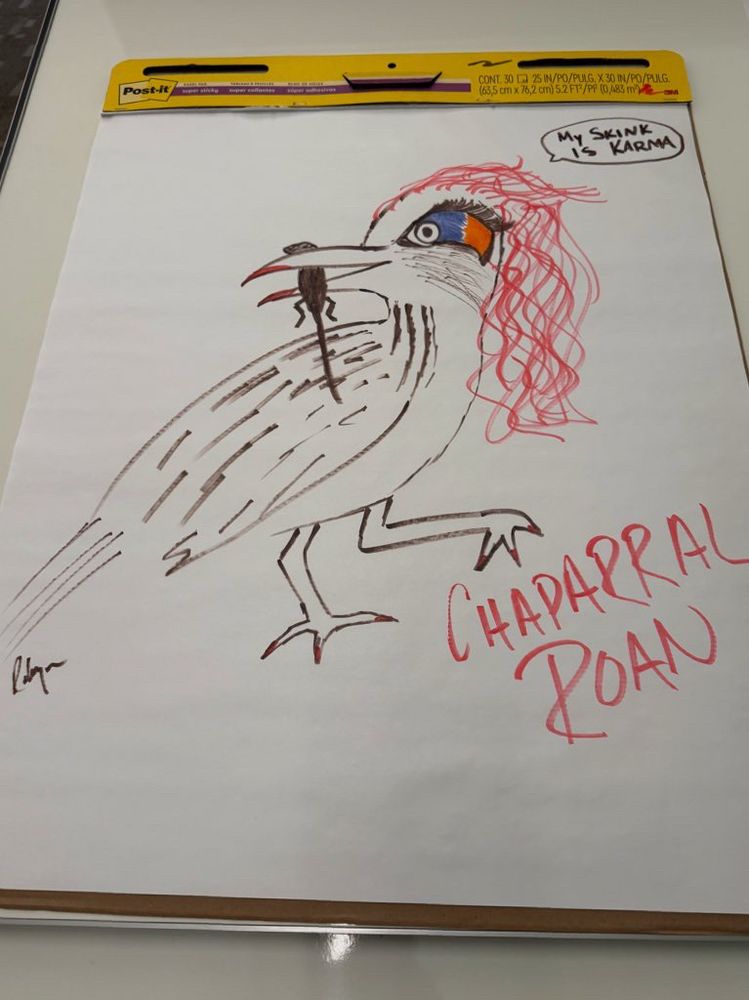 Marker drawing on a big Post-It of a roadrunner wearing heavy eye makeup and red curly hair eating a lizard saying “MY SKINK IS KARMA” and titled “Chaparral Roan”