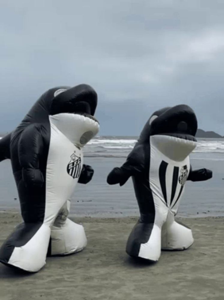 two black and white inflatable whales with santos written on their chests