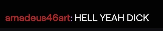 A twitch message reading "hell yeah dick"