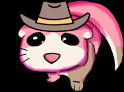 A picture of penny, a pink otter, looking pathetic while wearing a cowboy hat. 