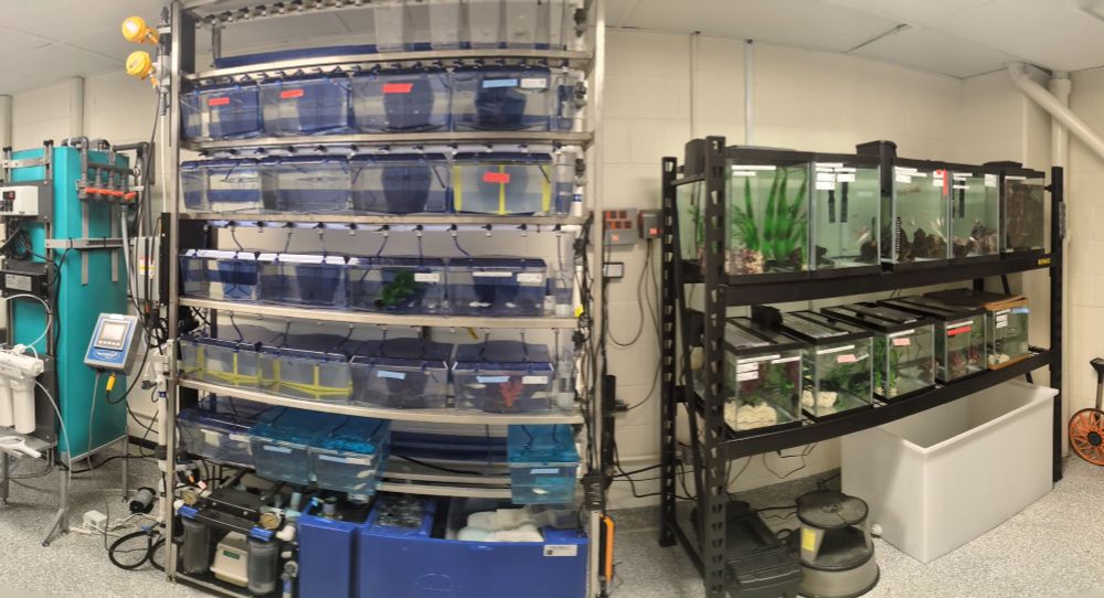 A fish room with reservoir, rack with controller and new DYI rack.