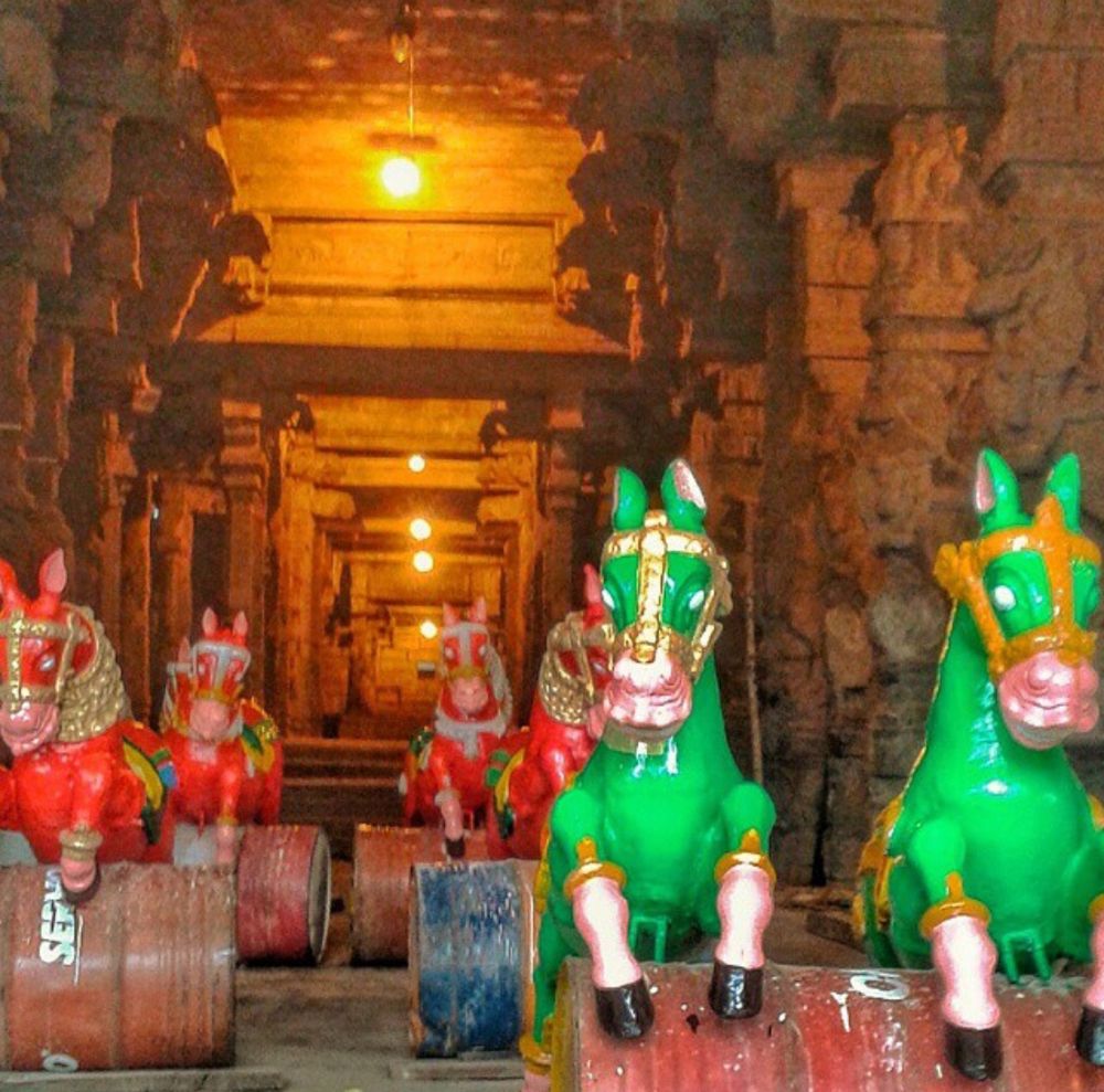 Green and red freshly-painted festival wooden horses resting on barrels to dry in the Thousand-Pillared Hall, Arunachaleswar Temple, Tiruvannamalai, Tamil Nadu, India