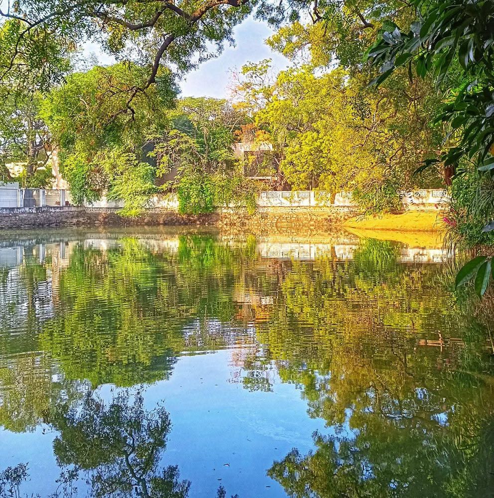 Pali Tirtham (water tank), next to Sri Ramanasramam is used for sacred rites and functions. Also called ‘Manakkula’ (‘marriage’), it attracts newly married couples for blessings. 

Nearby, a majestic peepul tree (ficus religiosa) with statues of Ganesha and other deities carved in stone underneath it is to be found on the roadside bank with a raised platform around it. 

Chengam Road, Tiruvannamalai, Tamil Nadu, India.