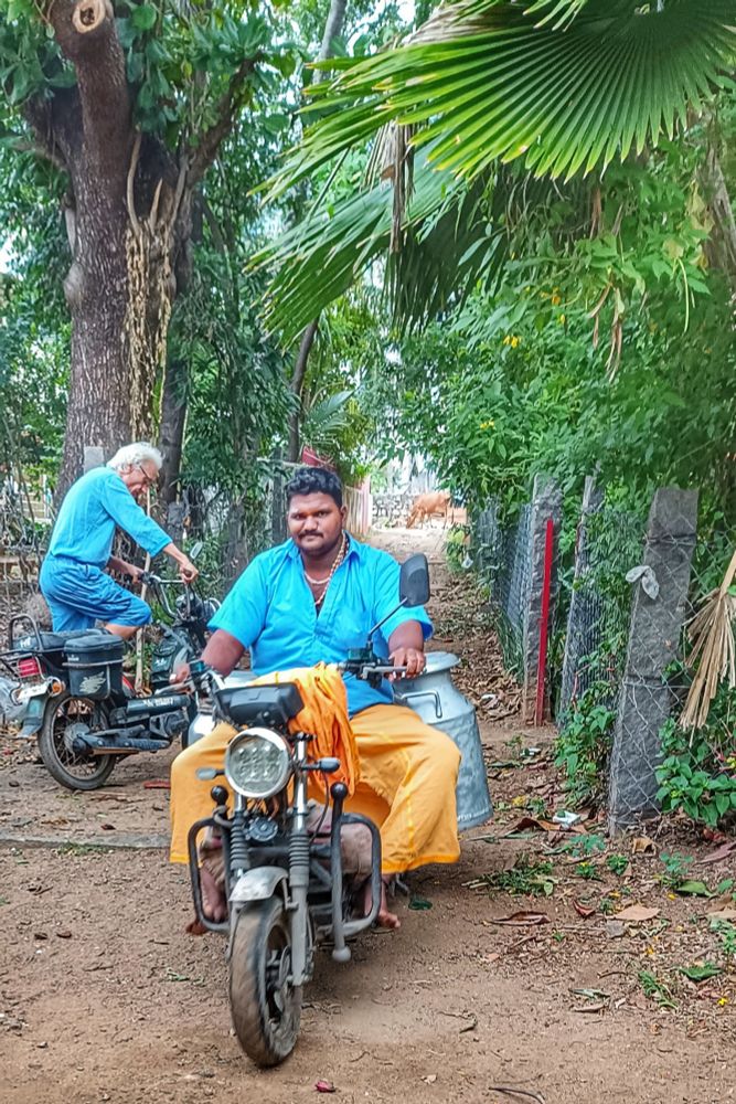 On a dirt path surrounded by lush greenery and a fence with cattle in the background, a milkman arrives on a grey motorcycle adapted to carry a large metal container on either side.

He is wearing a bright-blue half-sleeve shirt, saffron lungi and beaded necklace. The motorcycle has a round headlight and front crash guards. 

A grey-haired man with glasses and wearing a long-sleeved blue shirt and denim knee-length shorts can be seen about to mount his own TVS XL 100 moped behind the milkman.