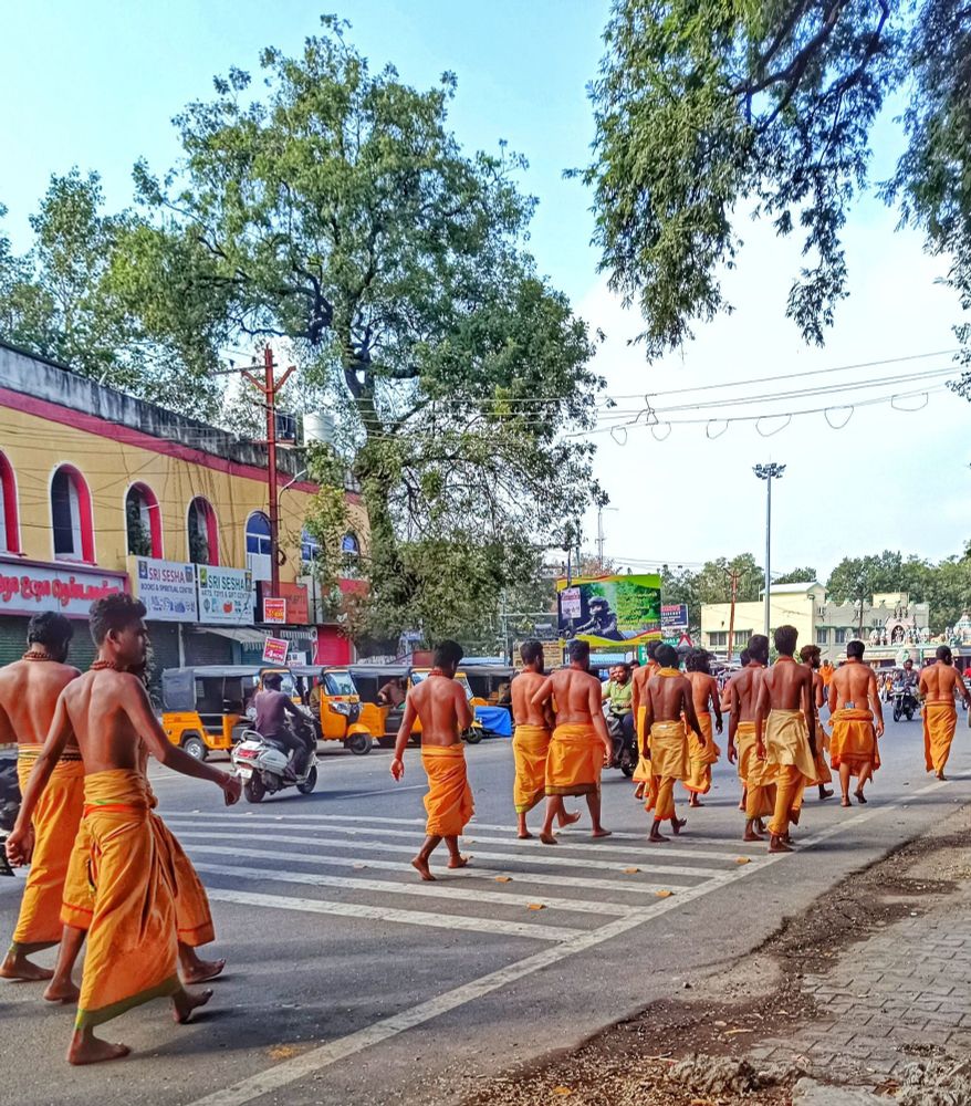 A group of more than a dozen bare-chested, dark-skinned, barefoot and orange dhoti-clad men walk the 14 km along the pilgrim route around the holy hill of Arunachala, Tiruvannamalai, Tamil Nadu, India, a ritual practice known as girivalam or giripradakshina.