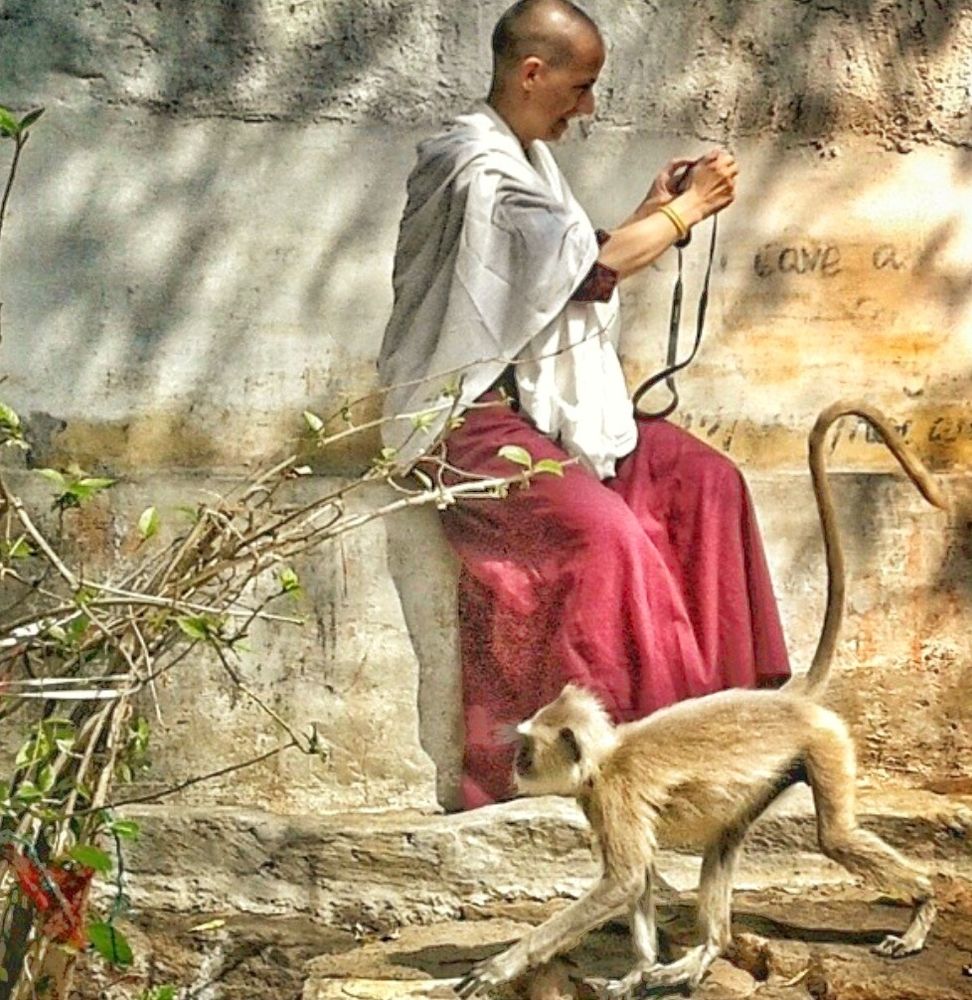 A Tibetan Buddhist nun in maroon robes and a white shawl stares into her camera's viewfinder whilst a macaque monkey sneaks by with its tail aloft. Skanda Ashram, Arunachala, Tiruvannamalai, Tamil Nadu, India.