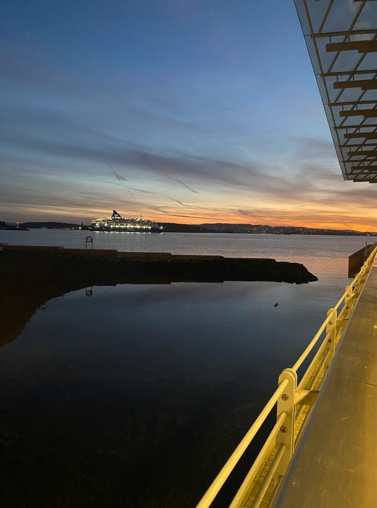 Railing on the side of a building leading the eye out to a sunset over a fjord with a cruise boat lit up in the distance 