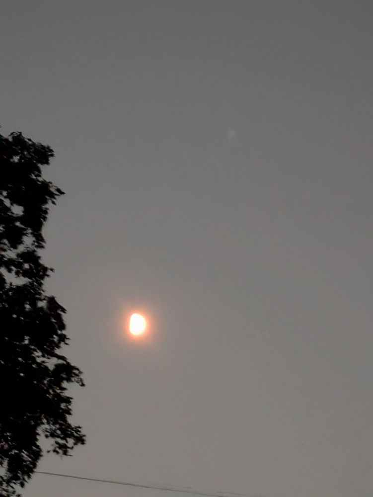 Half moon that looks orange on a slate grey smokey background. Part of a tree is on the left.