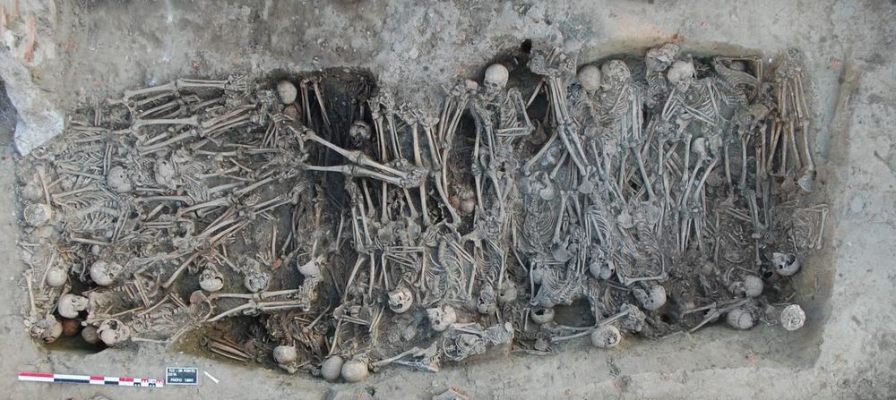 Black Death Genomes: Uncovering Medieval Genetic Clues - Medievalists.net