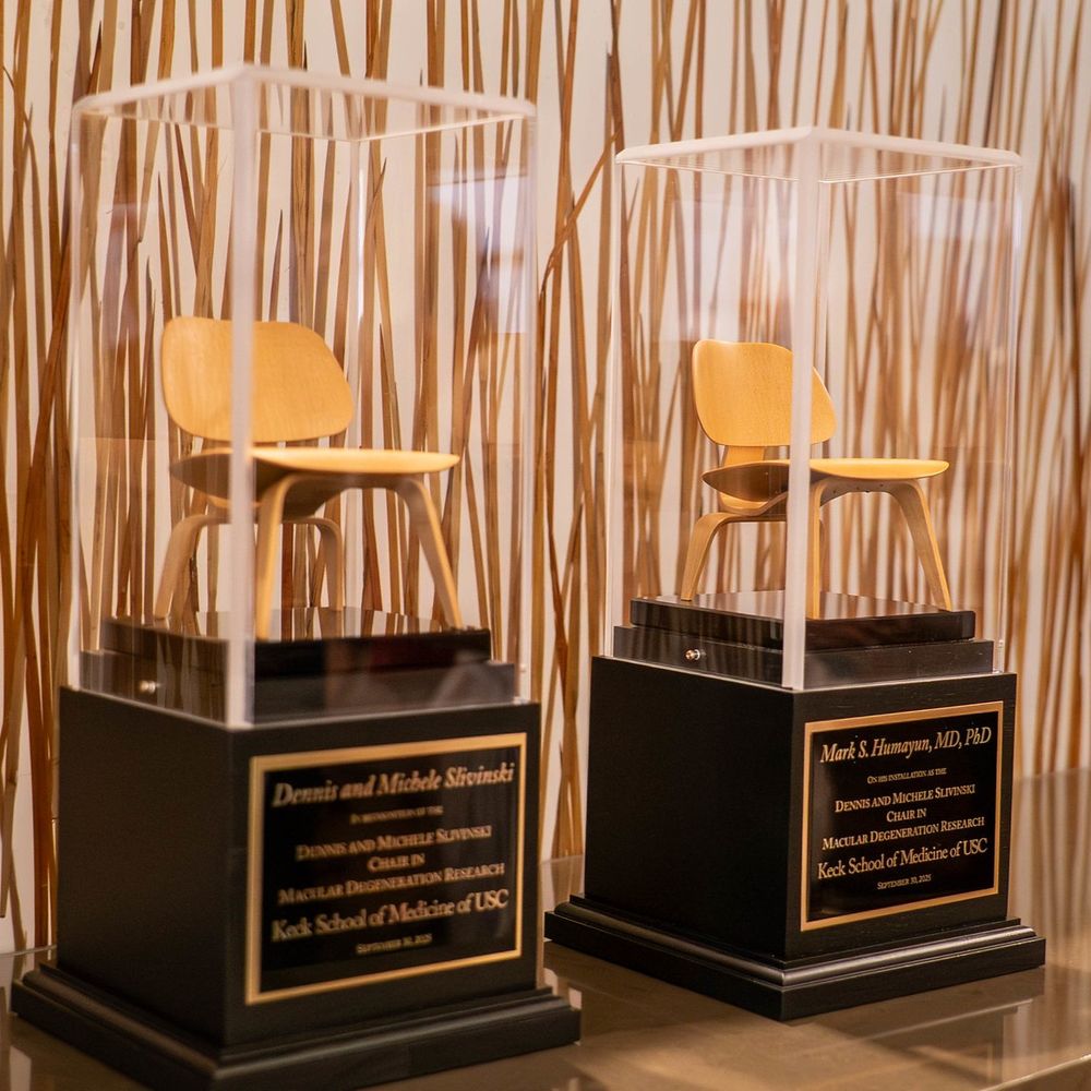 Two awards from the Keck School of Medicine of USC displayed in transparent cases, each featuring a miniature golden chair mounted on a black base with an engraved plaque.