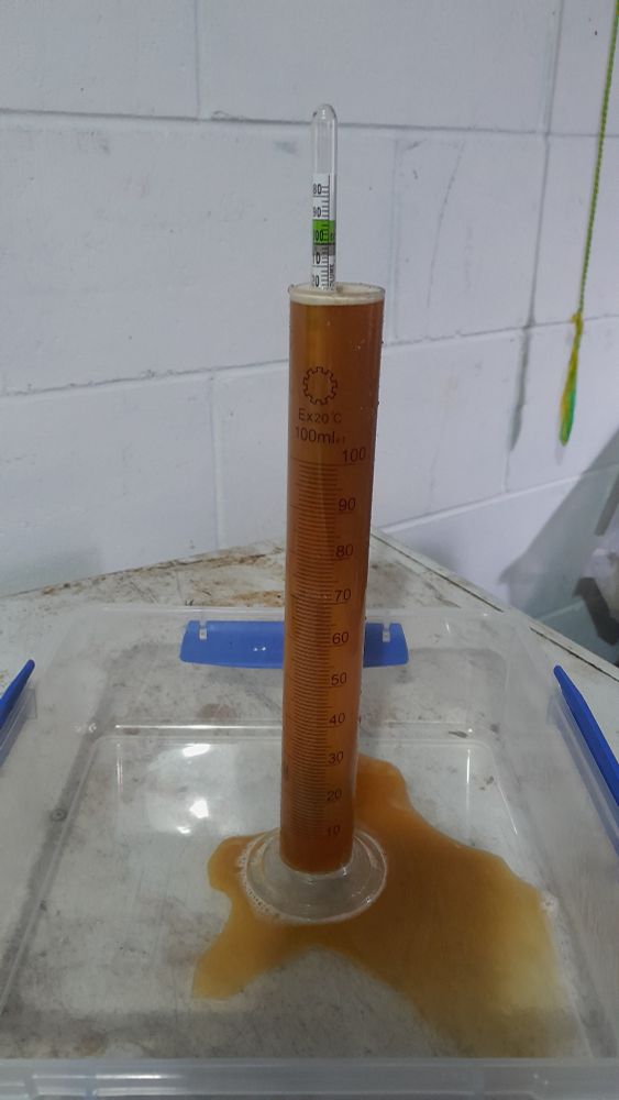 A hydrometer sample.