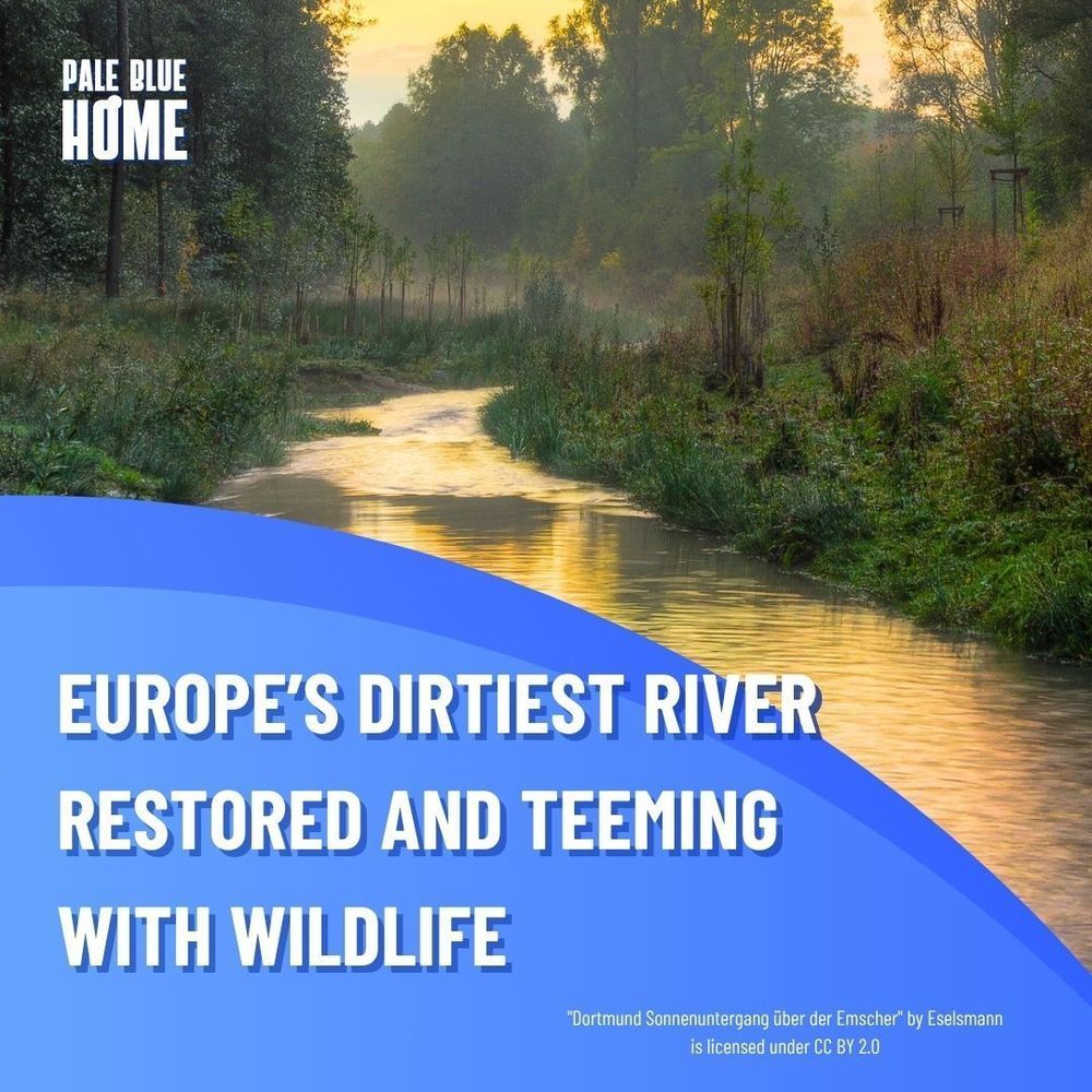 EUROPE’S DIRTIEST RIVER RESTORED AND TEEMING WITH WILDLIFE. A background image of the Emscher river in Germany.