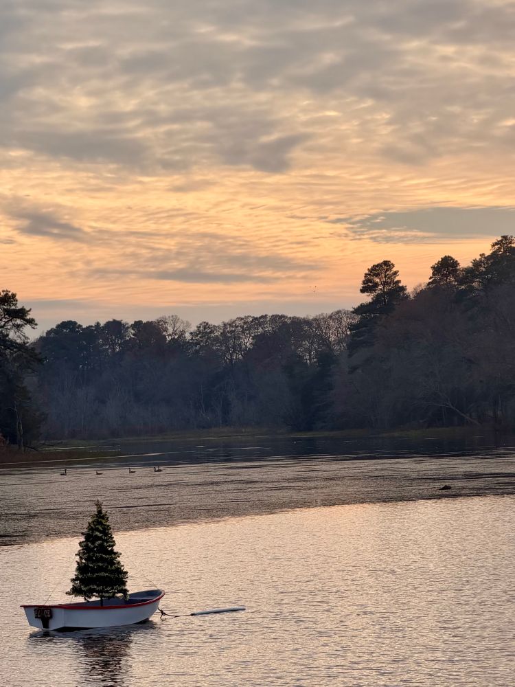 A small dingy boat with a Christmas tree anchored in the middle of a pond.