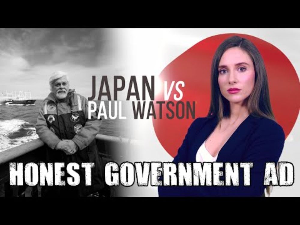 Honest Government Ad | 🇯🇵 Japan v. Paul Watson 🐋