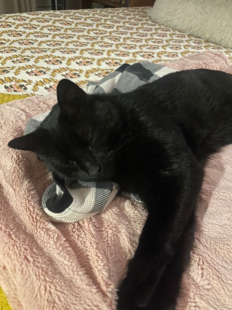 A black cat taking a nap on a pink blanket like the true angel he is