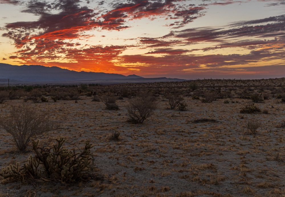 Sunrise yesterday morning in the desert showing some clouds. 
