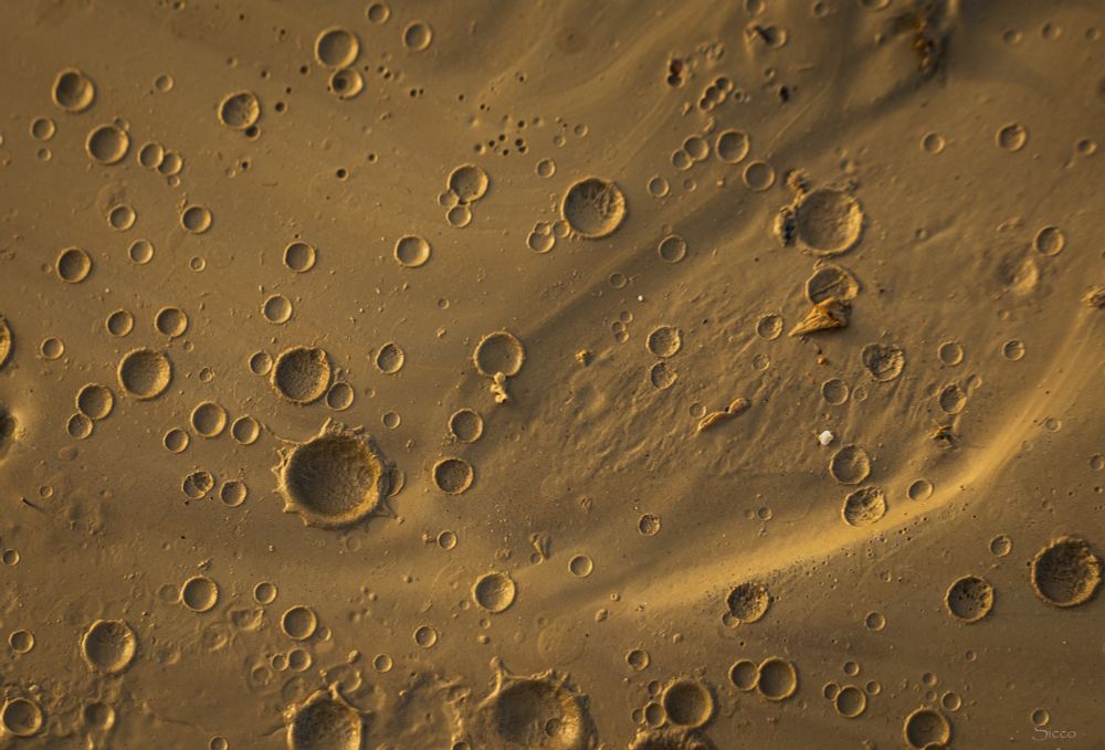 This shows the impact craters from various size raindrops on freshly formed mud after the flash flooding had receded.