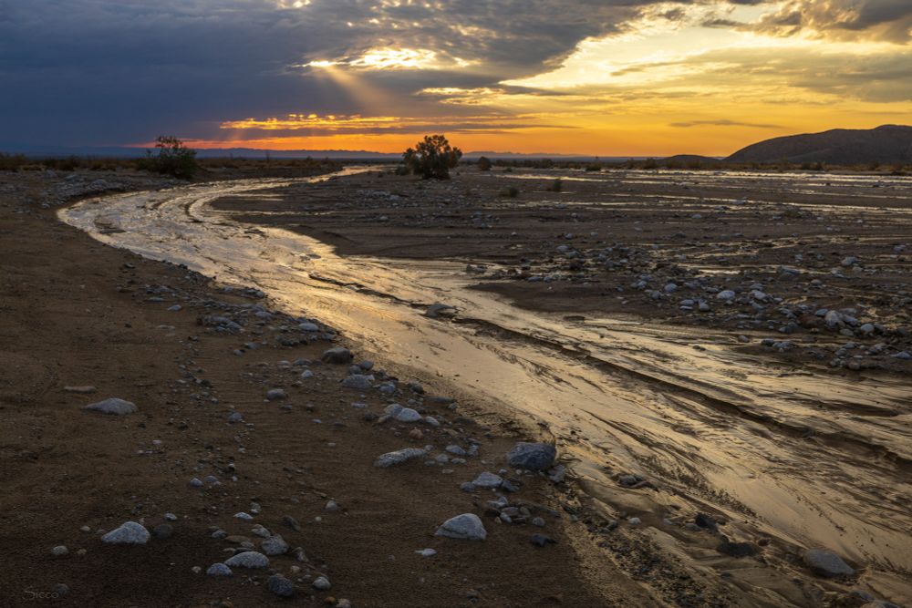 Fish Creek this morning after it had flooded, but was still wet. 