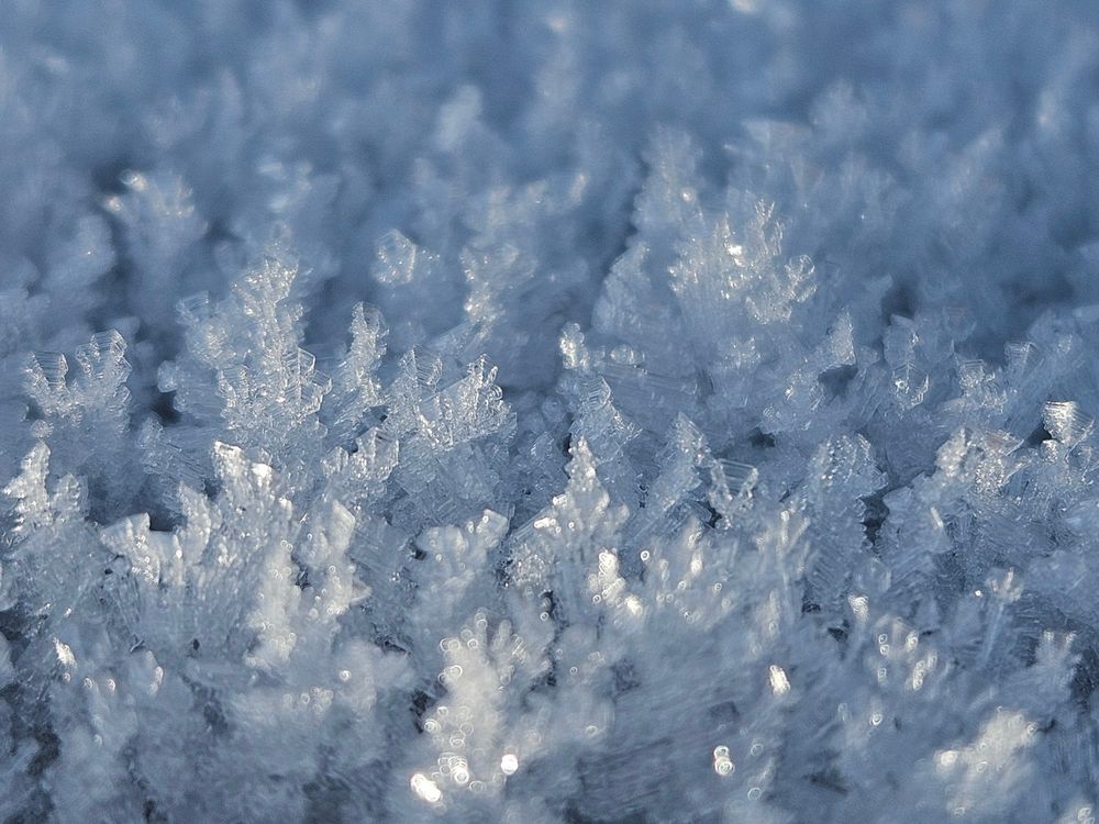 Ice formed into treelike shapes on a car roof following a very heavy frost. 