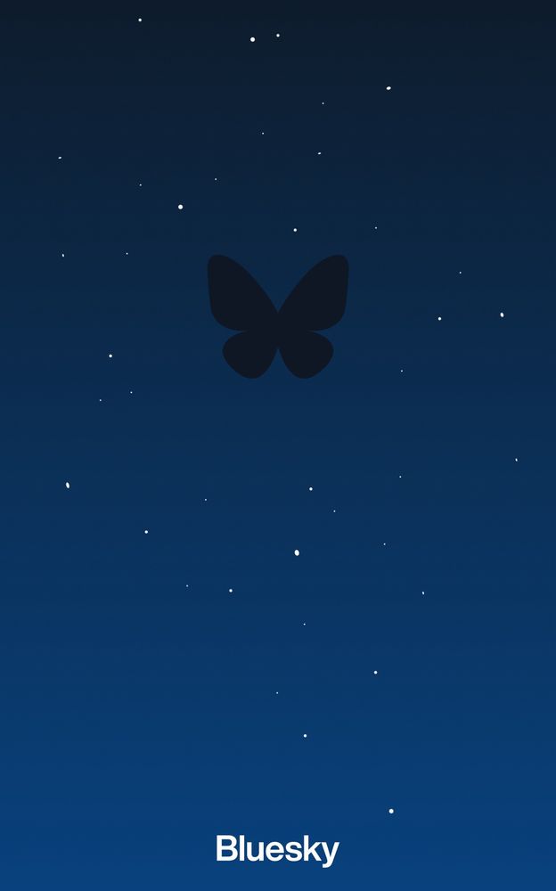Screenshot of the bluesky loading screen which is a dark night sky full of stars