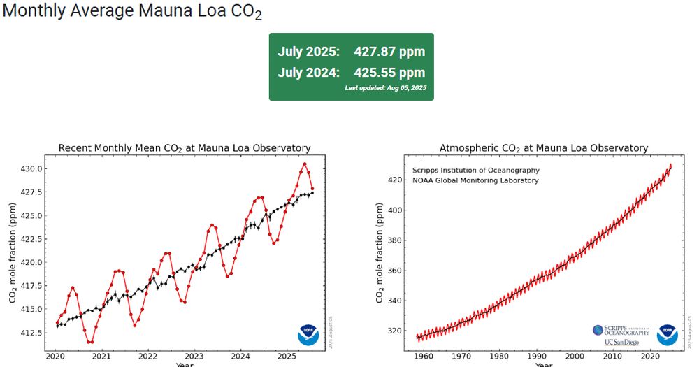 July 2025: 427.87 ppm
July 2024: 425.55 ppm
Graphs of rising concentration for the past 5 years, and since 1958, with seasonal sawtooth pattern.