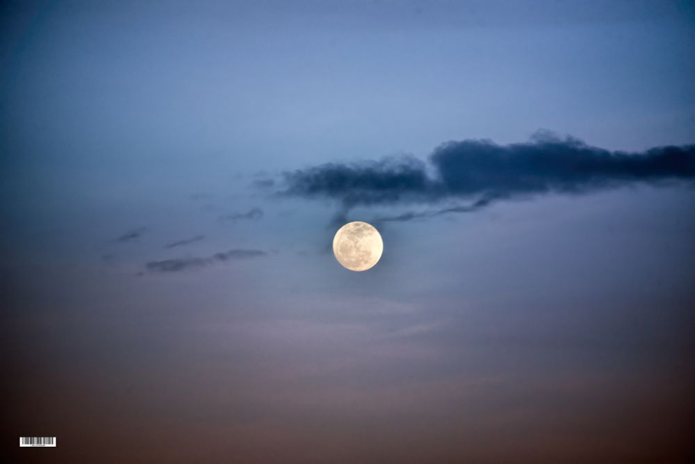 one day before 
#moon    #scape
 the Waxing Gibbous moon #storytelling #luiscordobapharchive  #eastcoastkin #art     #photographer #moonrise 
 visit my 🔝📷collection▶️
https://bsky.app/profile/did:plc:gkdzhhasll5lweby2pnakh3c/feed/aaahz7avjwmia